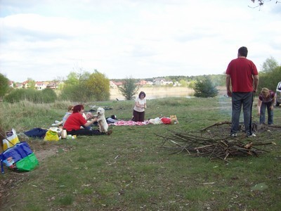 Piknik 2010
